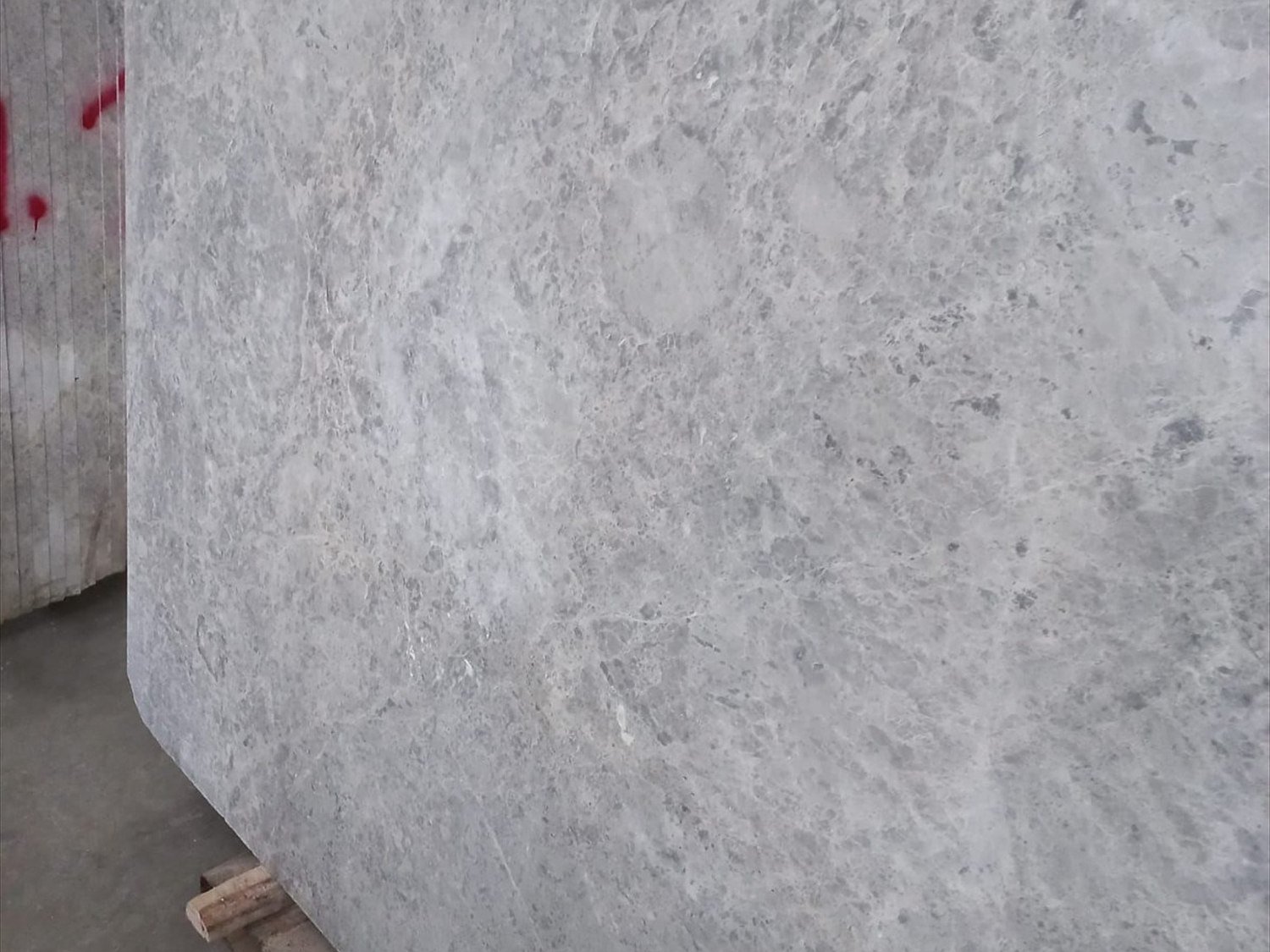 Classic Tundra Gray Marble