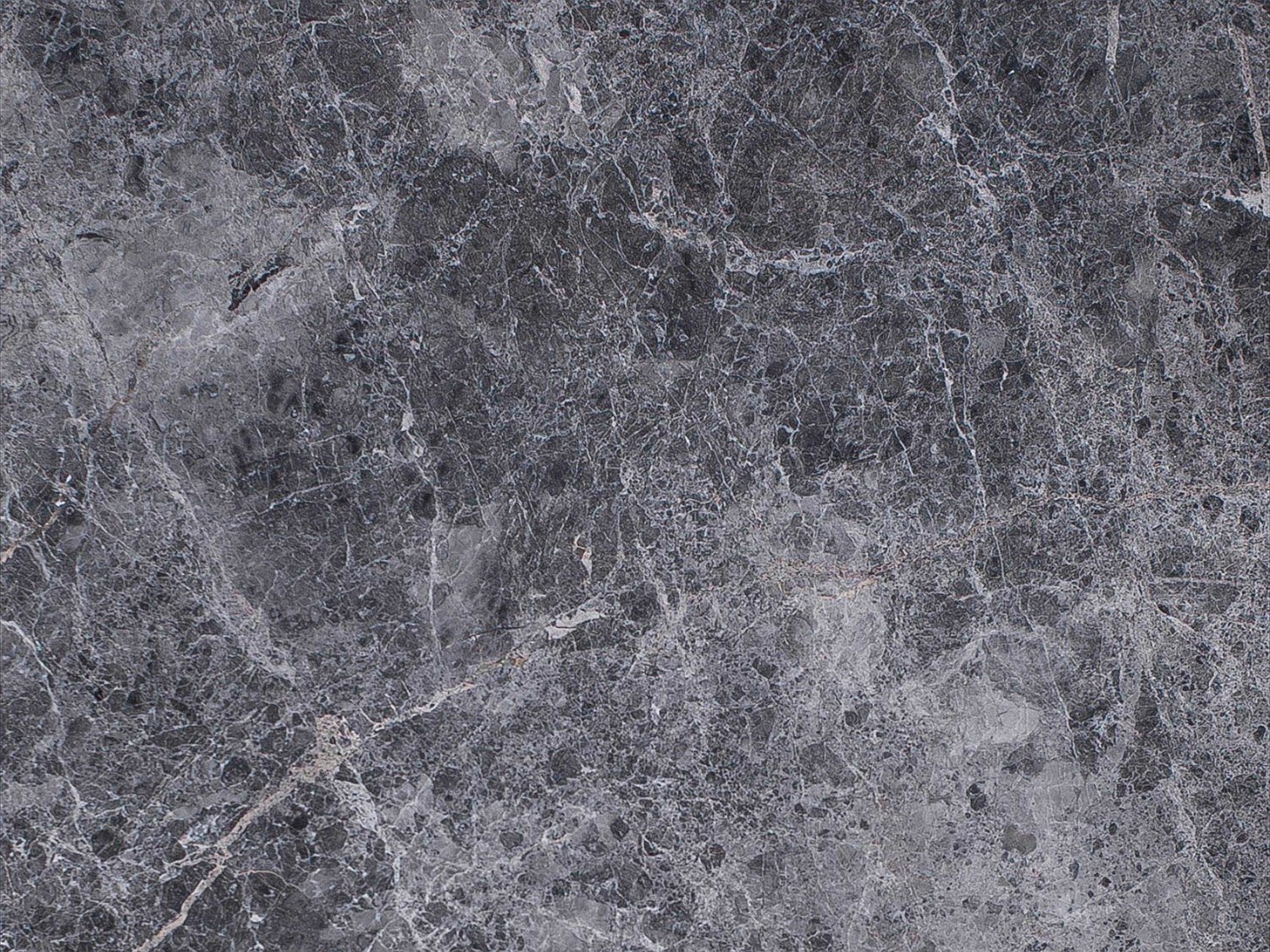 Dark Tundra Gray Marble