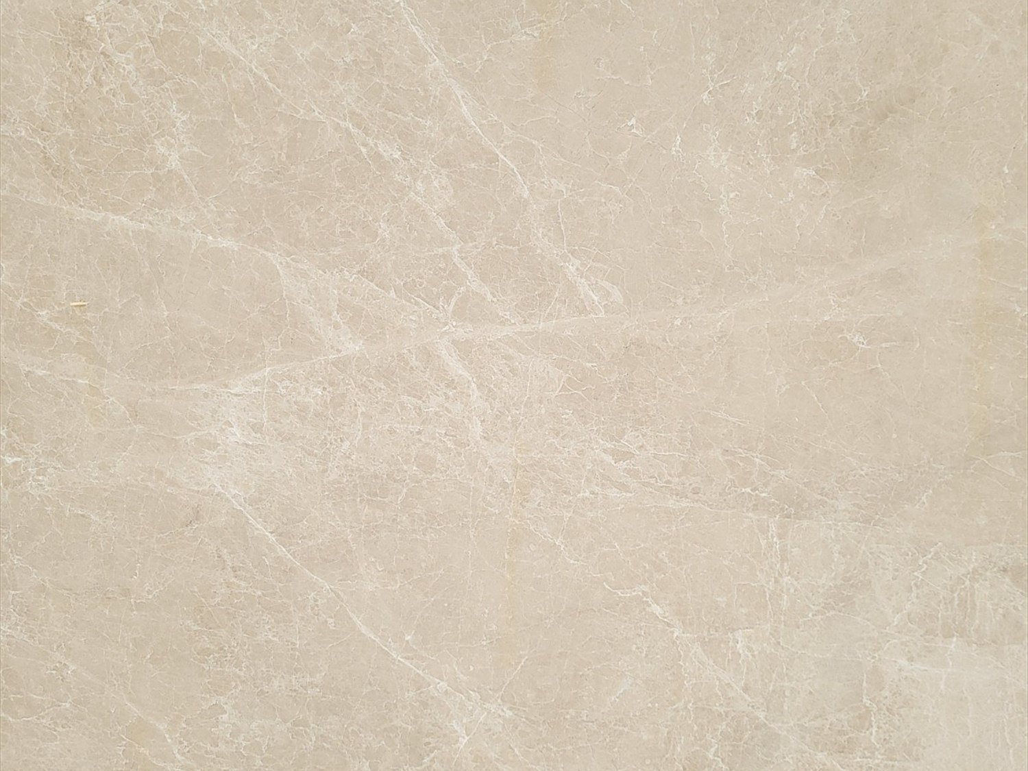 Spider Cream Marble
